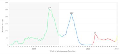 In-depth genetic characterization of the SARS-CoV-2 pandemic in a two-year frame in North Macedonia using second and third generation sequencing technologies